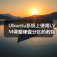 Ubuntu系统上使用LVM调整硬盘分区的教程（图2）