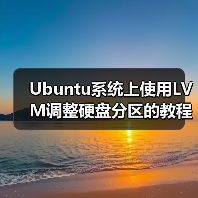 Ubuntu系统上使用LVM调整硬盘分区的教程（图4）