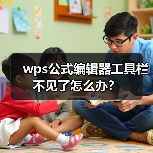 wps公式编辑器工具栏不见了怎么办？
