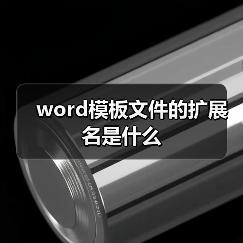word模板文件的扩展名是什么（图4）