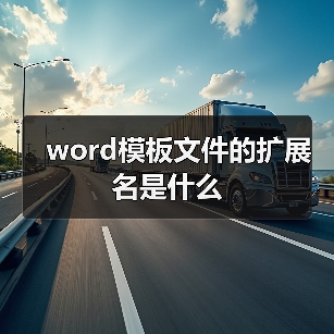 word模板文件的扩展名是什么（图3）