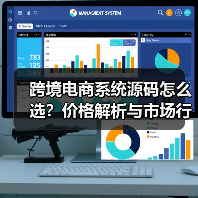 跨境电商系统源码怎么选？价格解析与市场行情全攻略