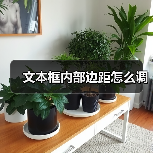 文本框内部边距怎么调（图1）