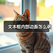 文本框内部边距怎么调（图4）