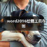 word2016绘图工具在哪(图2) word2016绘图工具在哪(图2)