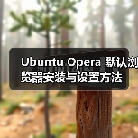 Ubuntu Opera 默认浏览器安装与设置方法