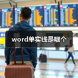 word单实线是哪个