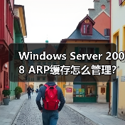 Windows Server 2008 ARP缓存怎么管理?详细步骤解析(图2) Windows Server 2008 ARP缓存怎么管理?详细步骤解析(图2)