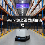 word怎么设置项目符号