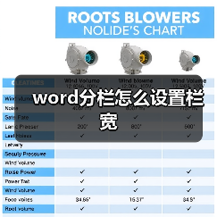 word分栏怎么设置栏宽（图2）