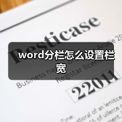 word分栏怎么设置栏宽（图3）