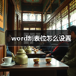 word制表位怎么设置（图2）