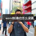 word制表位怎么设置