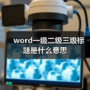 word一级二级三级标题是什么意思