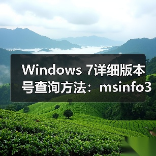 Windows 7详细版本号查询方法:msinfo32工具使用(图4) Windows 7详细版本号查询方法:msinfo32工具使用(图4)