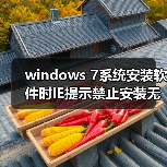 windows 7系统安装软件时IE提示禁止安装无效签名怎么办？（图4）