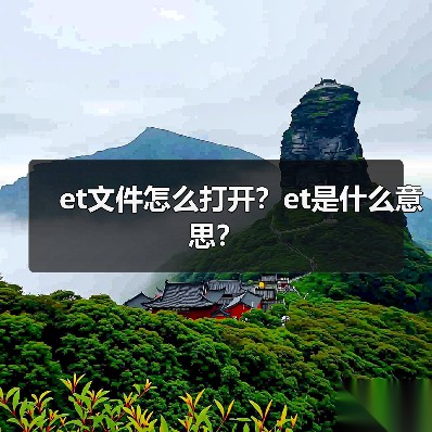 et文件怎么打开？et是什么意思？