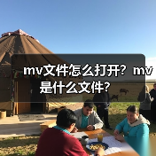 mv文件怎么打开？mv是什么文件？