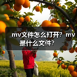 mv文件怎么打开？mv是什么文件？（图4）