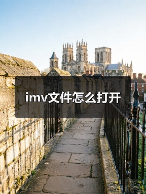 imv文件怎么打开（图2）