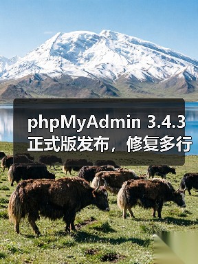 phpMyAdmin 3.4.3正式版发布,修复多行更新等核心问题(图4) phpMyAdmin 3.4.3正式版发布,修复多行更新等核心问题(图4)