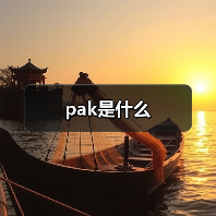 pak是什么