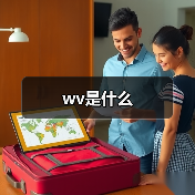 wv是什么