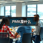 PMK是什么（图2）