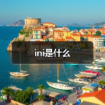 ini是什么（图4）