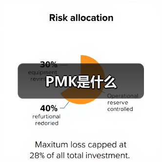PMK是什么（图3）