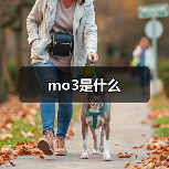 mo3是什么（图4）