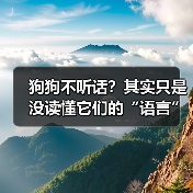 狗狗不听话?其实只是没读懂它们的“语言”(图2) 狗狗不听话?其实只是没读懂它们的“语言”(图2)