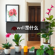 wdl是什么（图2）
