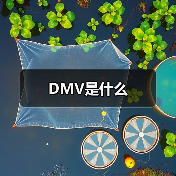 DMV是什么（图2）