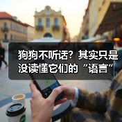 狗狗不听话？其实只是没读懂它们的“语言”
