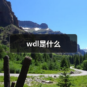 wdl是什么