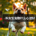 叫女生宠物什么心理好(图2) 叫女生宠物什么心理好(图2)