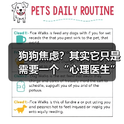 狗狗焦虑?其实它只是需要一个“心理医生”(图2) 狗狗焦虑?其实它只是需要一个“心理医生”(图2)