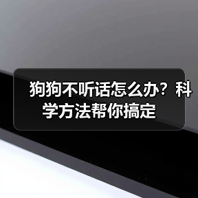 狗狗不听话怎么办?科学方法帮你搞定(图3) 狗狗不听话怎么办?科学方法帮你搞定(图3)