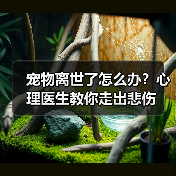 宠物离世了怎么办?心理医生教你走出悲伤(图4) 宠物离世了怎么办?心理医生教你走出悲伤(图4)