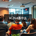 H.264是什么(图1) H.264是什么(图1)