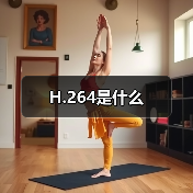 H.264是什么(图2) H.264是什么(图2)
