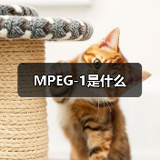 MPEG-1是什么(图1) MPEG-1是什么(图1)