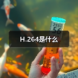 H.264是什么