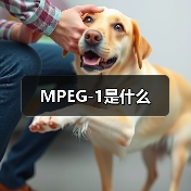 MPEG-1是什么（图3）