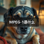 MPEG-1是什么（图4）