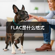 FLAC是什么格式
