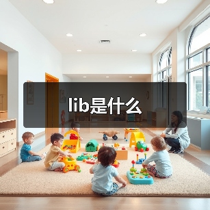 lib是什么（图4）