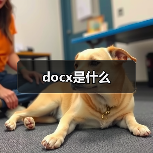 docx是什么（图4）