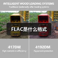 FLAC是什么格式(图4) FLAC是什么格式(图4)